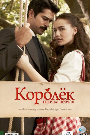 Королёк — птичка певчая постер